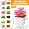 24 Pack Mini Artificial Succulents in White Pots Bulk – Small Potted Faux Plant Set for Home, Office Desk, Bathroom, Bedroom, Window & Shelf Decor